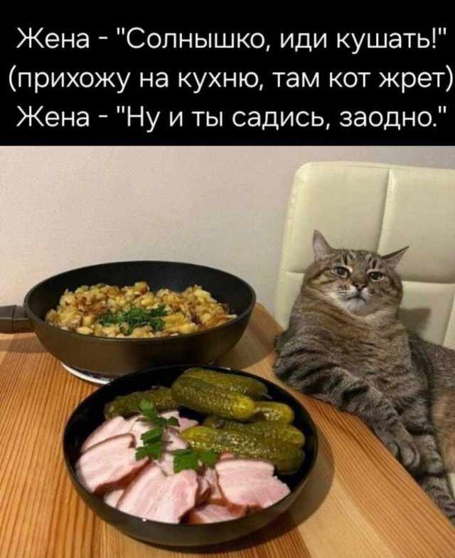 Картинки для деградации 26 (разной степени свежести)