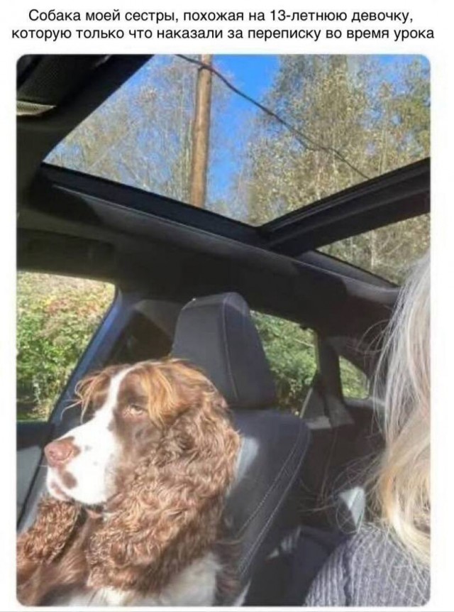 Картинки субботнего утра