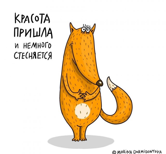 Прикольные и просто красивые картинки 21.10.2025