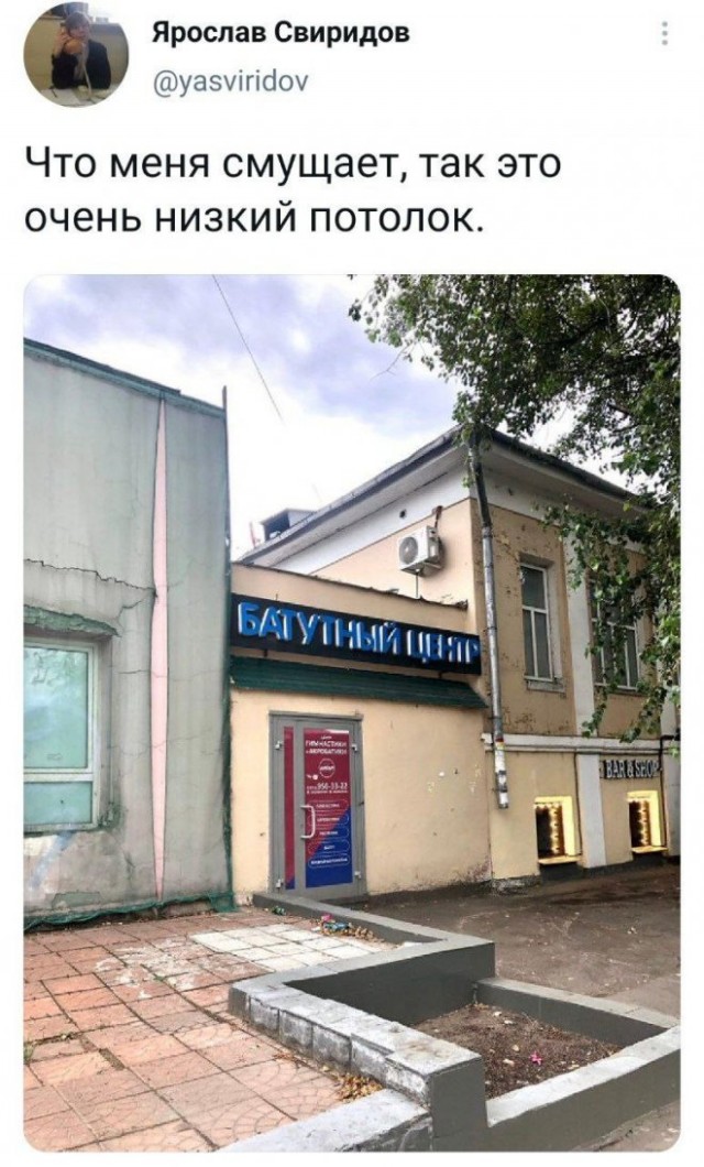 Веселые картинки в понедельник (15.12)