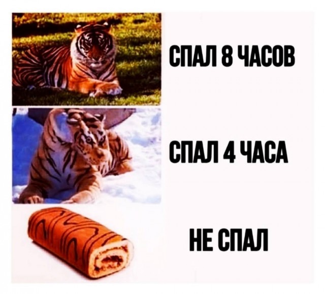 Когда я был молод, я считал это олицетворением богатства и изысканости.