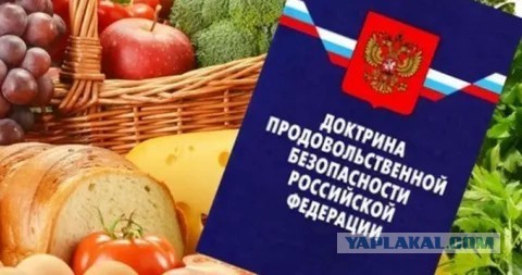 В Совбезе уточнили, как война на Ближнем Востоке скажется на продовольственной безопасности России