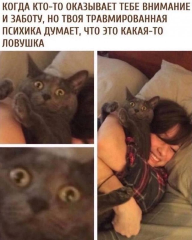 Так себе картинки 30.06.26