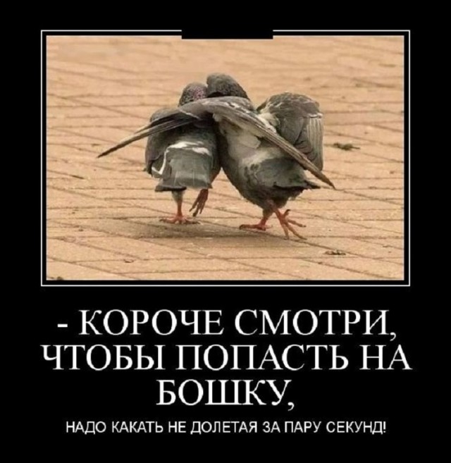 Так себе картинки 11.07.26