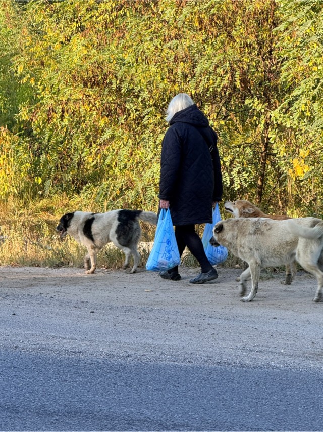 Кастрюлечтница