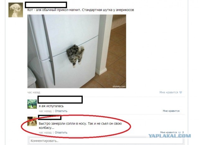 Увидел фото, ужаснулся