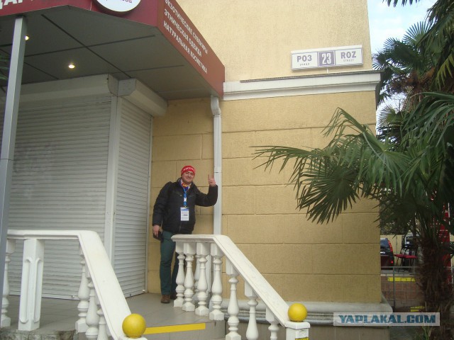 Как я ездил на кёрлинг