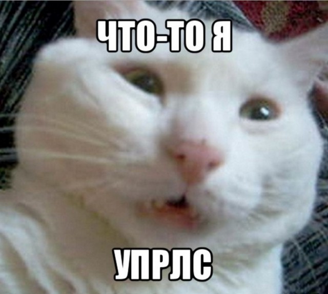 А ВЫ скоро упоретесь ?