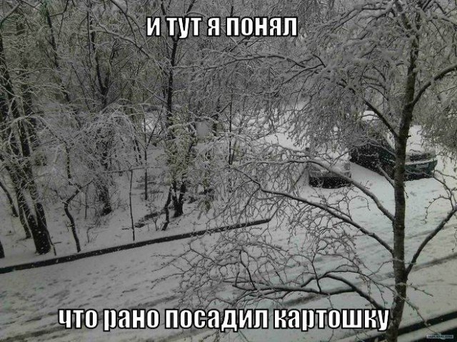 А за окошком месяц май...