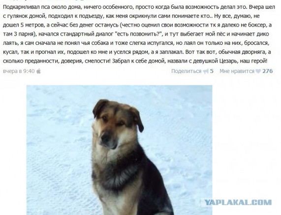 Преданность, доверие, смелость
