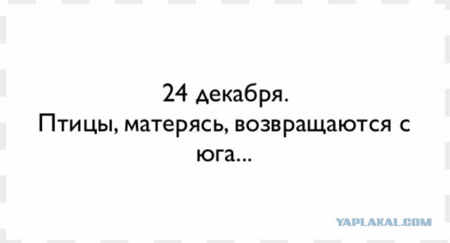 Веселые картинки.