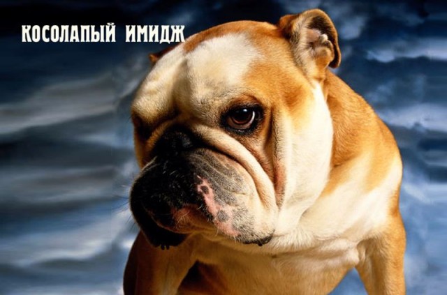 МЕГАПОДБОРКА