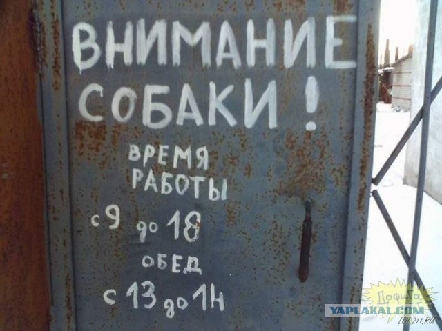 Забавные объявления
