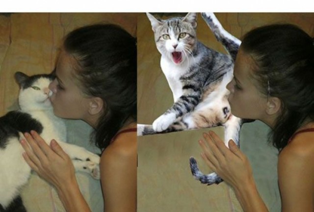 Бойся желаний своих. Мастера фотошопа