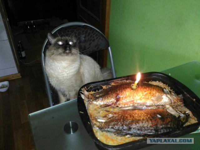 Как Мартин вырос.