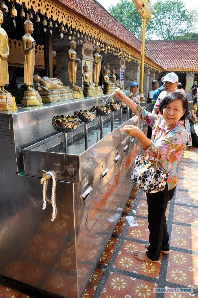 Чианг Май. Жемчужина Севера.