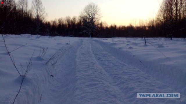 Как США зиму "уволокли" к себе