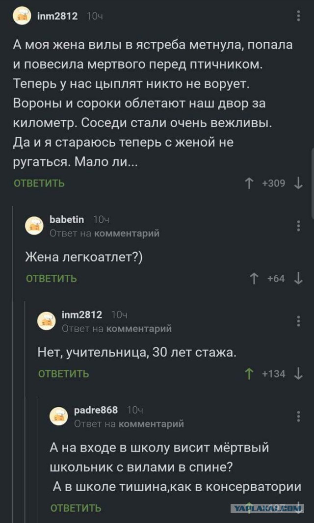 Смешные комментарии из социальных сетей 09.06.2018