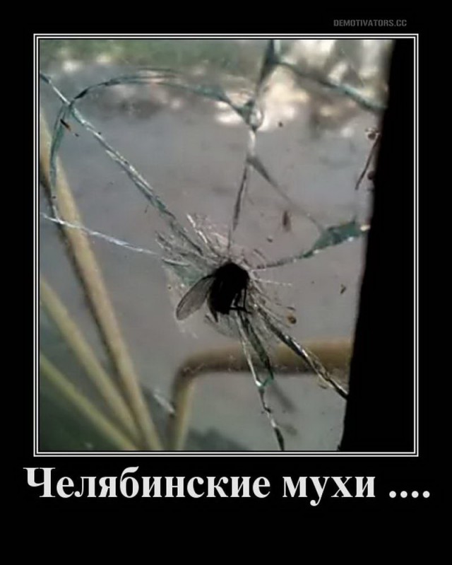 Прикольные картинки абавсём