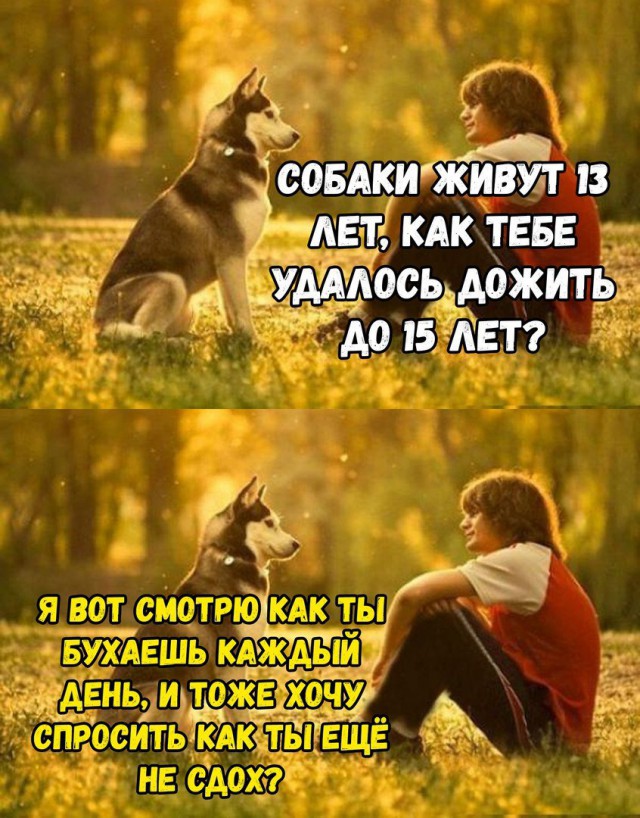 Немного картинок на вечер