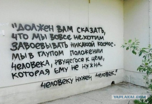 О чем просят соседей в Петербурге