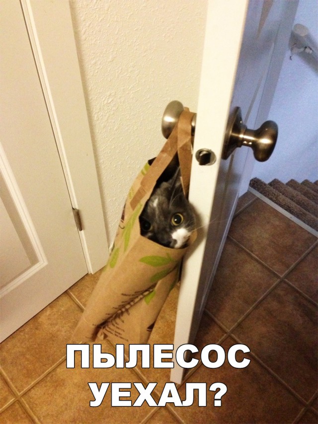 Нестандартный юмор