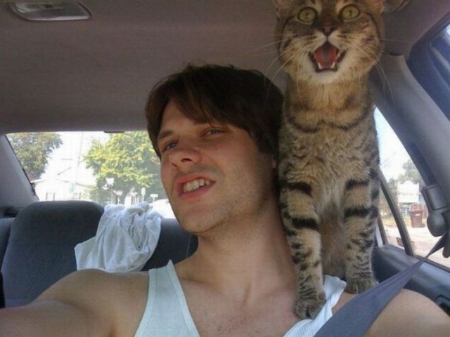 Ну-ка съе...ся вправо! Нах!