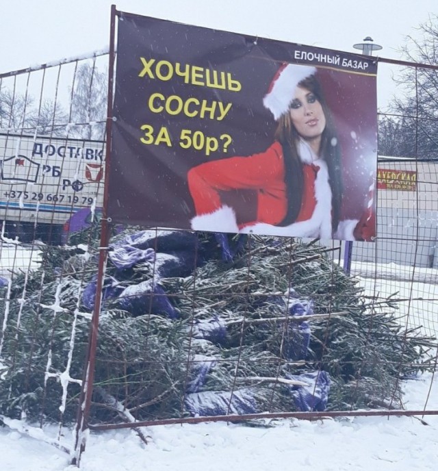 И всё-таки она наша. Лента картинок