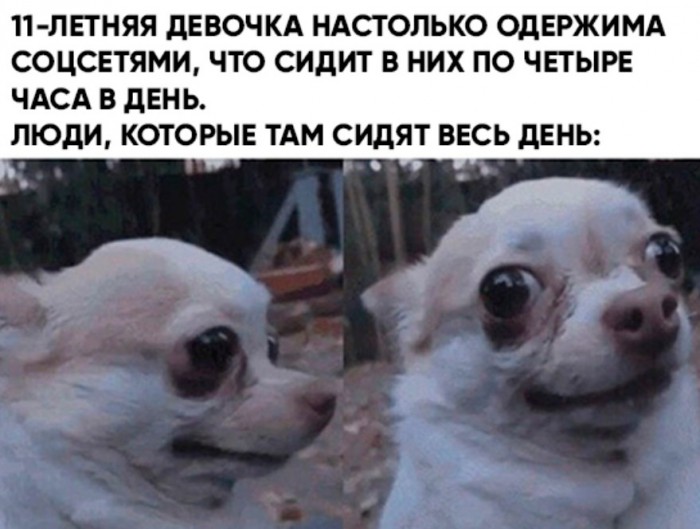 Забавные шутки, картинки и фразы из этих ваших интернетов