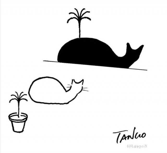 Новые рисунки Танго.
