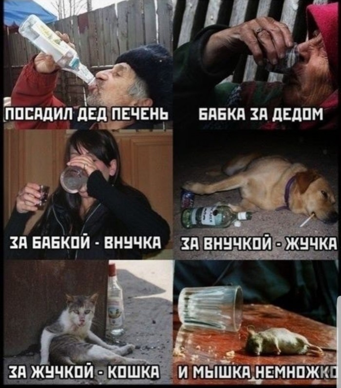 Поворот не туда