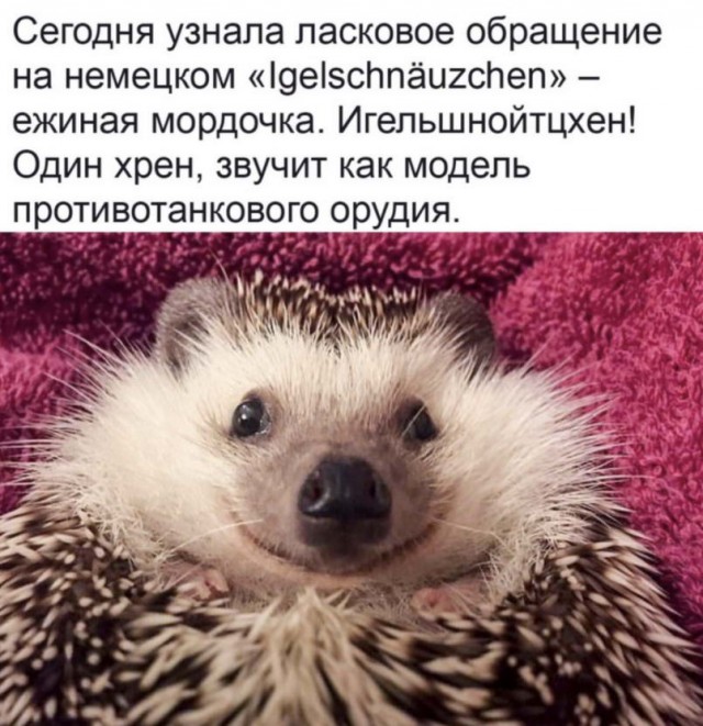 Немного жути на предстоящую неделю
