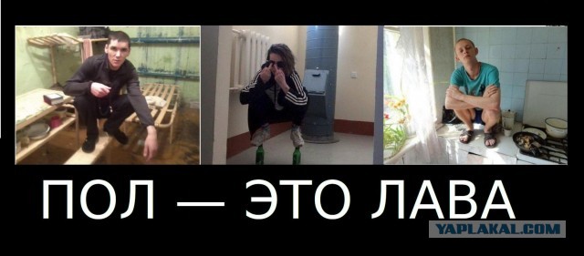 Скотсети и прочие интернеты 23.11.2020