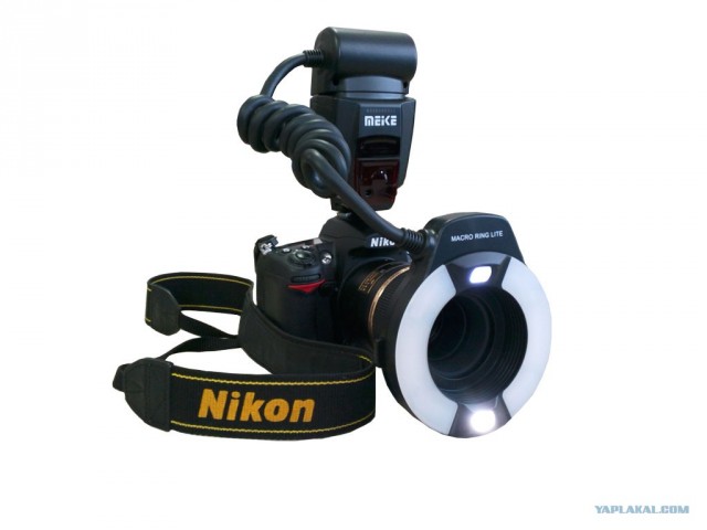 Про макросъемку и Tamron 90/2.8