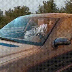 Женская сборная Австралии по крикету