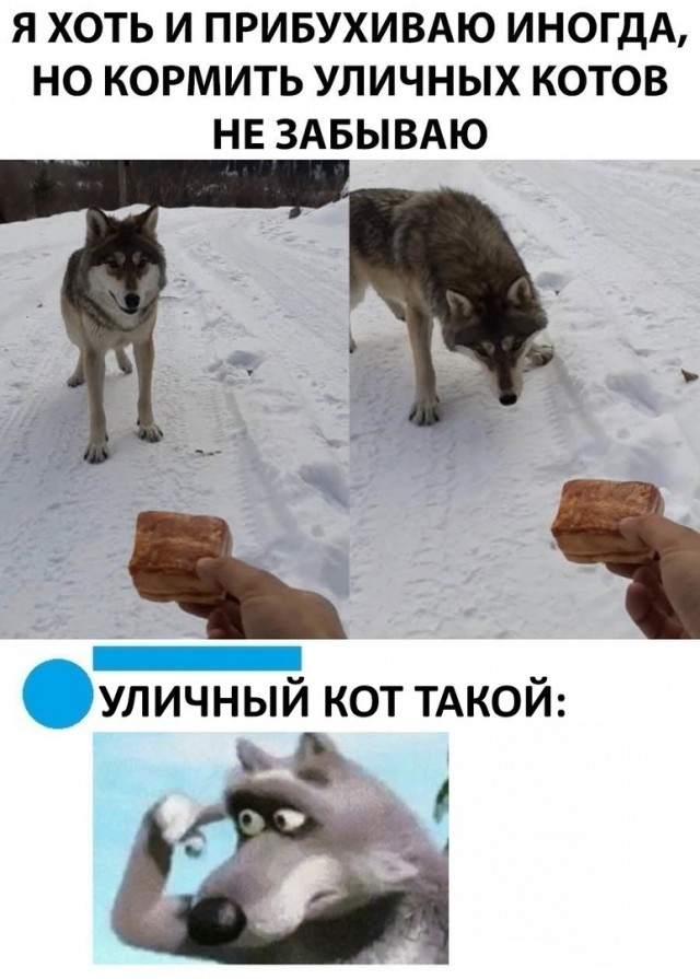 Весёлый полтишок 7.03