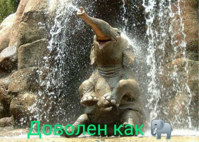 Картинки и мемы для настроения 011