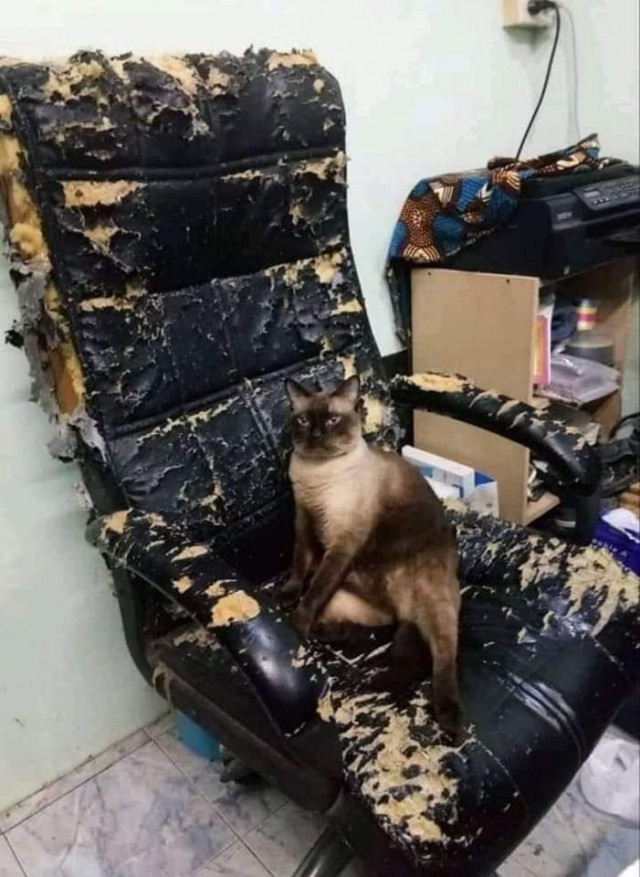 Картинки на понедельник