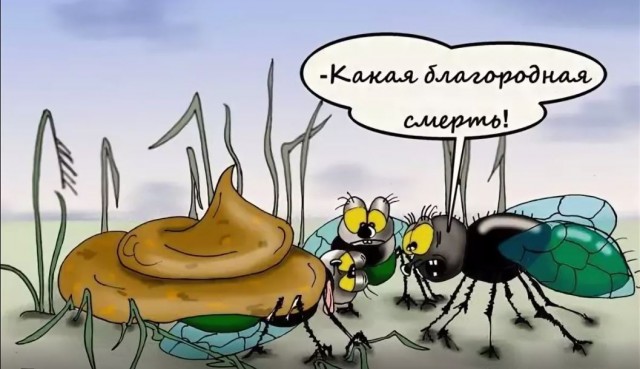 Жители не могли уснуть из-за дребезжащих «Жигулей», но развязка настала сама по себе