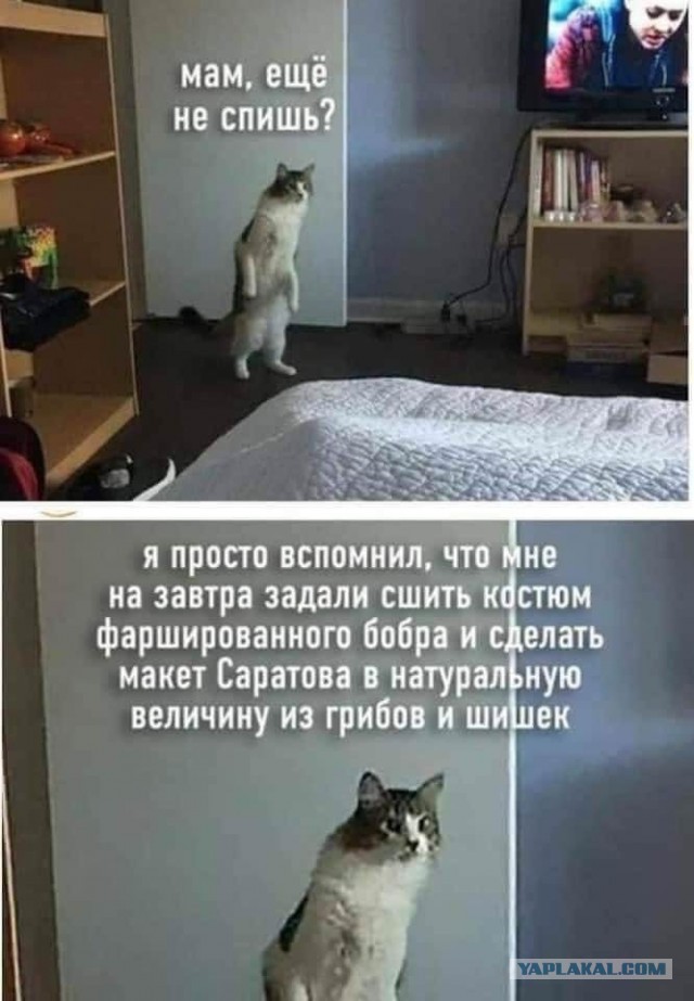 Будте вы прокляты учителя требующие приносить гербарии