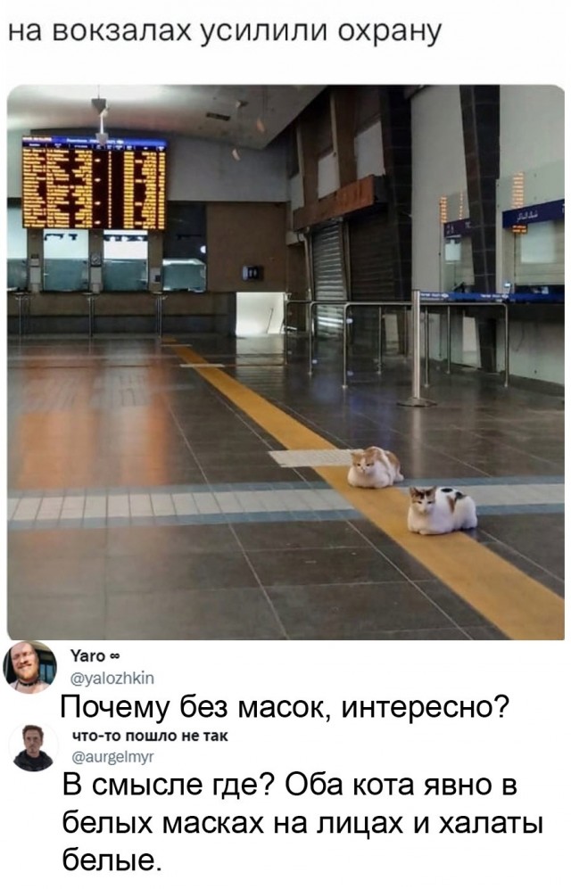 Баянисто-небаянистый юмор 17.11.21