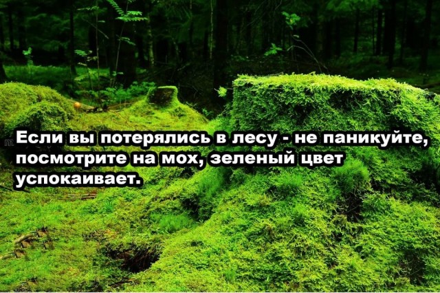 Так себе картинки 12.05.22