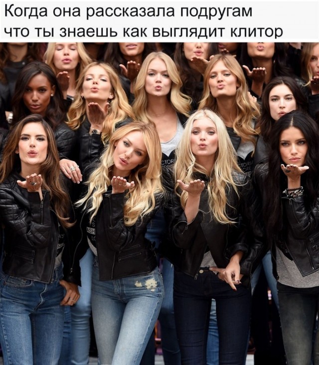 Весёлый полтишок 28.07.22