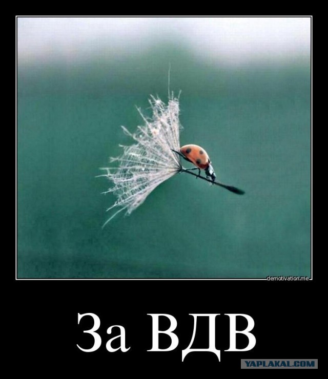 Слава ВДВ!