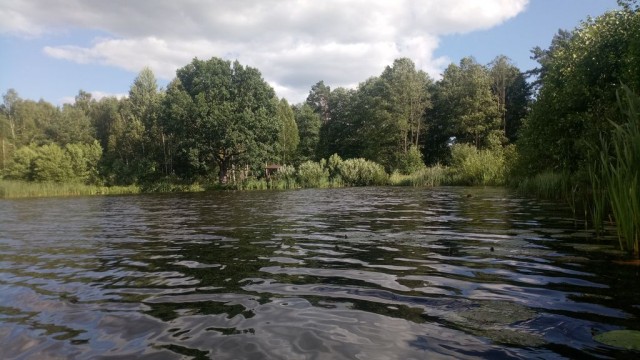 Моя поездка по Беларуси: Минск-Нарочь-Гродно-Брест-Барановичи-Несвиж
