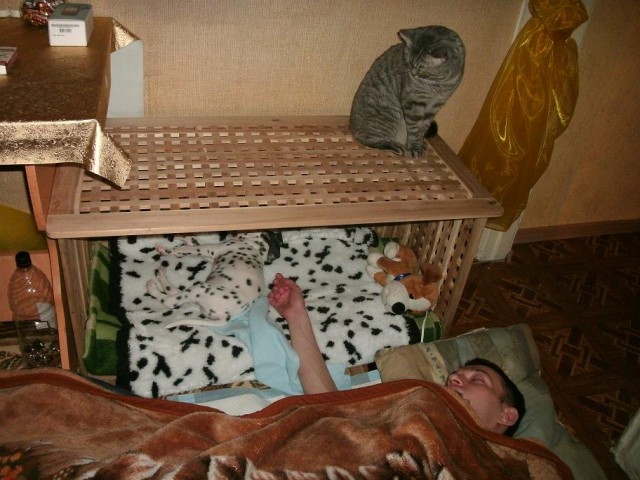 Что мне делать?Новосибирск-помогите.