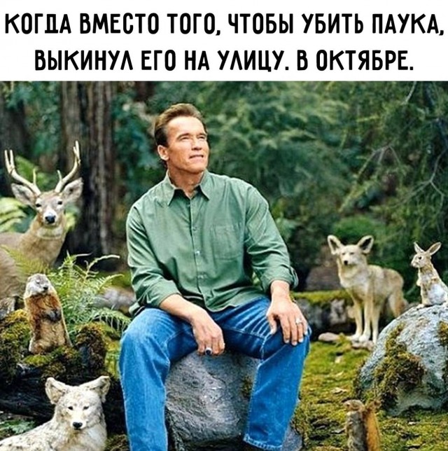 Картинки и мемы для настроения - 111