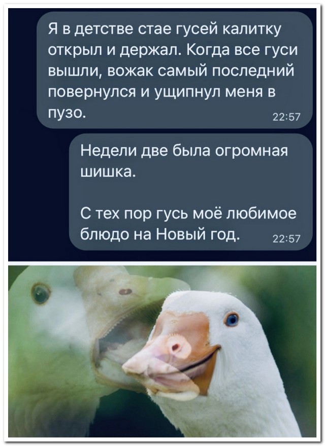 Забавные комментарии из социальных сетей (31.10.22)