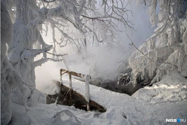 Новосибирец упал с самодельного мостика в кипяток и сварился заживо