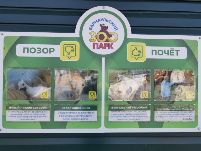Так себе картинки 26.03.23